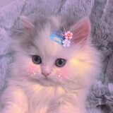 princessiana