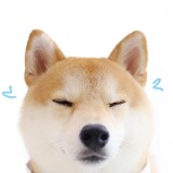 duolaxiaobudou
