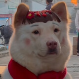 lixunanaxue