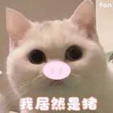 xiaoqji___iqwq