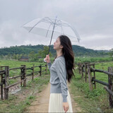 _qiurisenlin