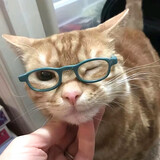 rangzidanfeiyihui626