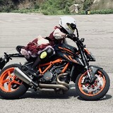 xiaohujiangdedaweiba