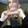 Teddy Bear_5858