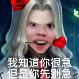 pitafeiwenlianren
