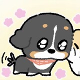 daluyiqiu