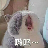 mumujiangjiangjiang