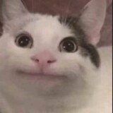a_dried_fish