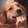gouziduizhang-
