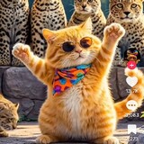 jirawan kruttha_0234