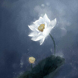 shishenya