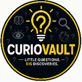 CurioVault