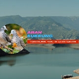 bili_ABAH KUKKUNG