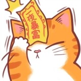 liangzizhaocai___