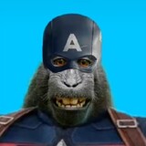 Gorilla-America