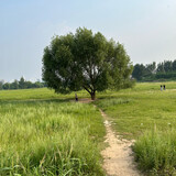 huxinting-shangxue