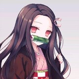 nezuko_kamado111