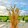 houdoumen59hao