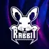The Rabbit_