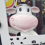 meishiweiainatie
