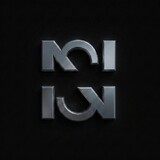 NS NYCTO