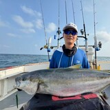 haidiaozhumihuasheng