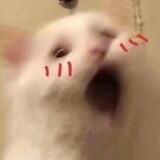 yimoyuyimoyu_