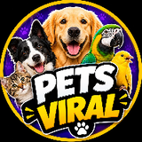 Pets Viral