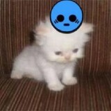 _linl_