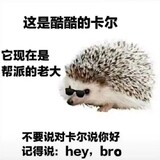 ironhedgehog