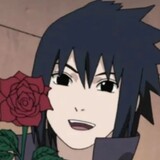 fengmiguanzipeiyouzi