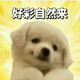 creator avatar