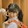 lelea-