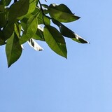 yibaogu