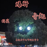 qiquduanzi
