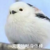 yushibujuezuodiebi