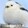 yushibujuezuodiebi