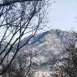 heiheizhenjun