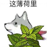 kanwanzhejiuxuexi