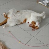 lilililizzie