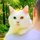 aishuohuadexiaohaozi