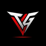 The Vector Gaming
