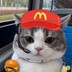 fluffydexiaojuchang