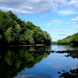 dongwuzhijiaxiaomilu