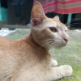 Ronykhan Hasan