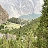 Asif Ali_9939