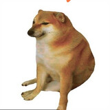 meme bựa