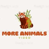 More animals Video