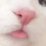 zhumizoe