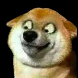 jizhidegouzi